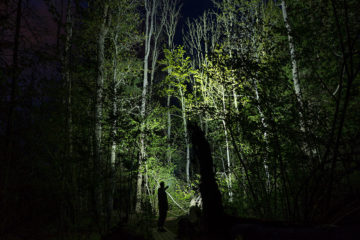 A man stands in the woods in the dark. His flashlight illuminates the trees in front of him.